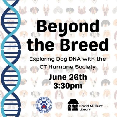 Beyond the Breed: Dog DNA Talk