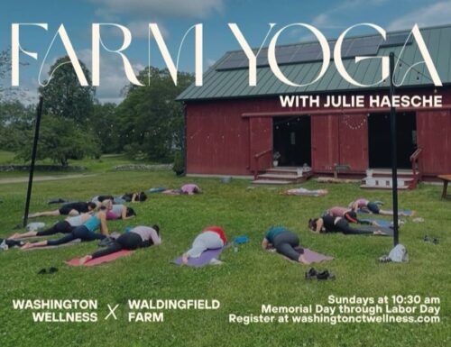 Farm Yoga at Waldingfield Farm