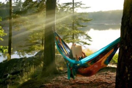Fully Booked — Summer Reading