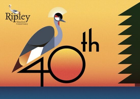 40 Years of Ripley