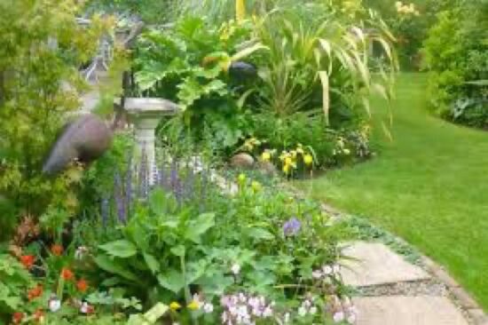 Let’s Talk Gardening