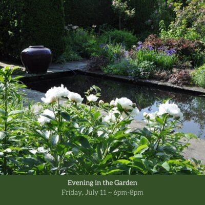 Evening in the Garden