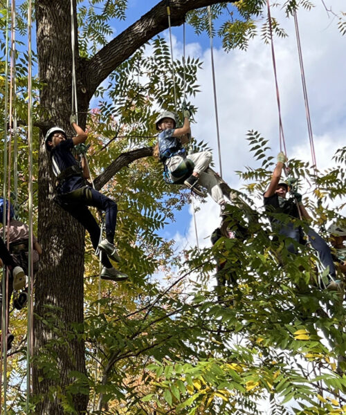 Litchfield Montessori School: Where Nature Inspires Learning