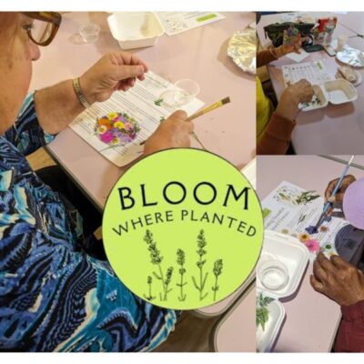 Pressed Flower Suncatcher