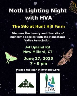 Moth Lighting Night with HVA