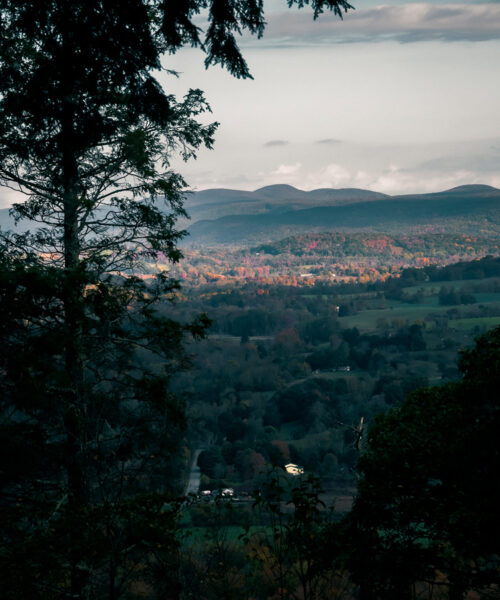 FotoDiary Brings Creative Collaboration to Kent