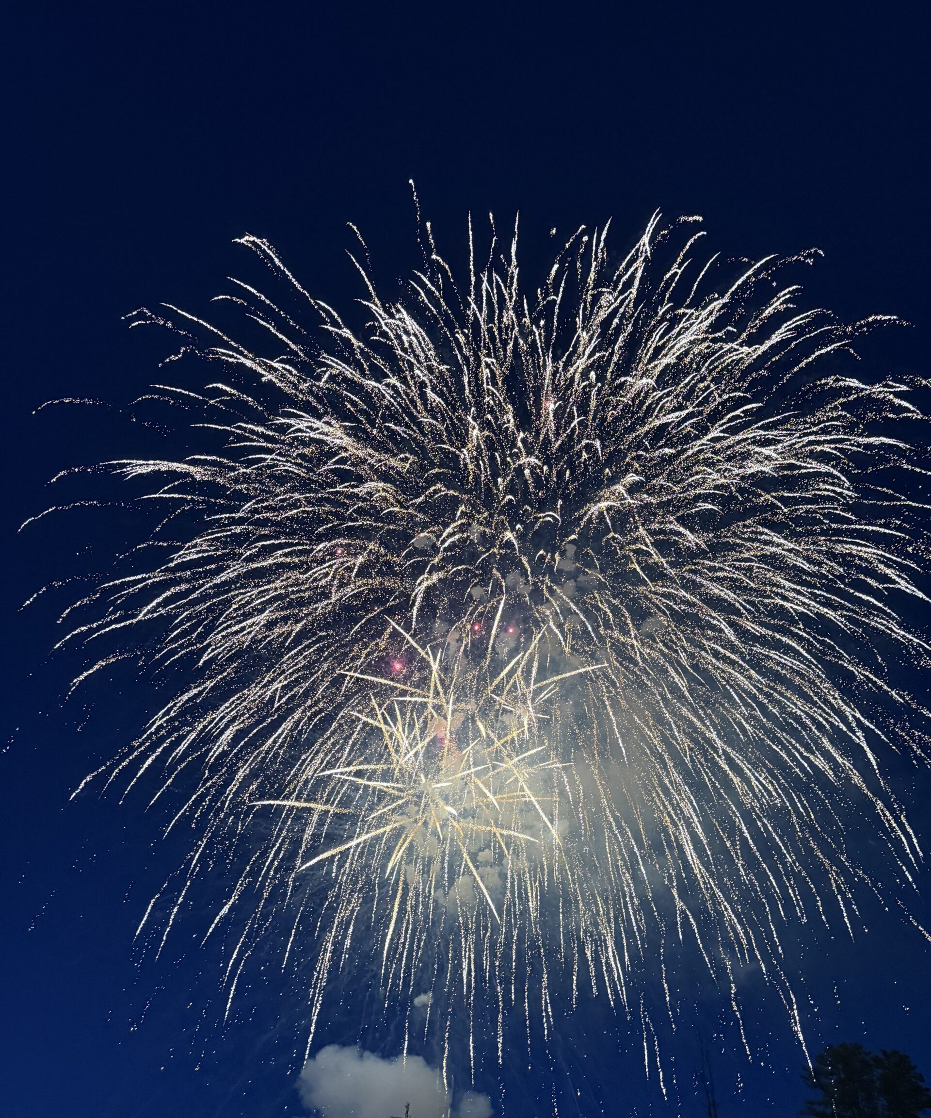 4th of July Firework Shows