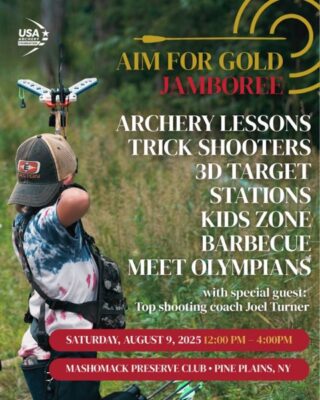 Aim for Gold