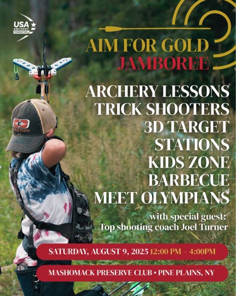 Aim for Gold