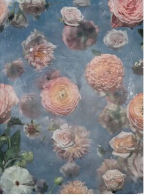 Catherine Erb: Frescoed