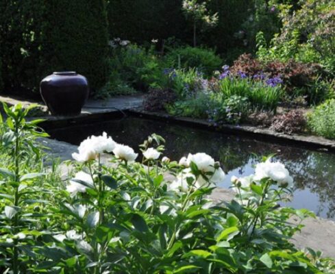 Evening in the Garden