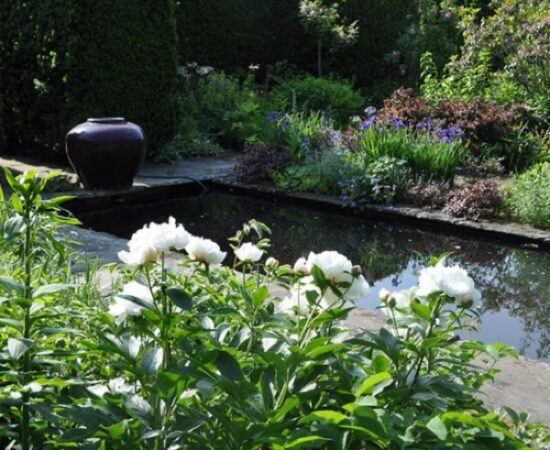 Evening in the Garden