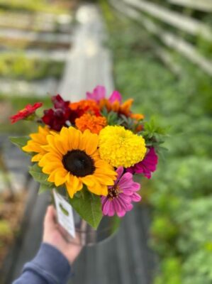 Pick-Your-Own Flowers
