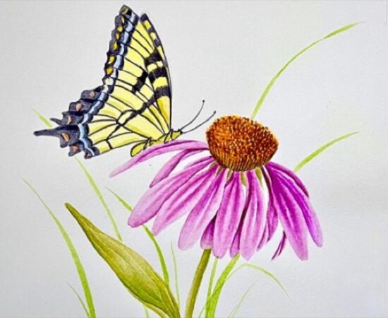 Watercolor Workshop: Pollinators
