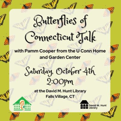 Butterflies of Connecticut