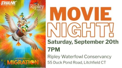 Movie Night at Ripley