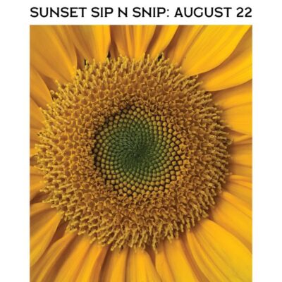 Sunset Sip n Snip