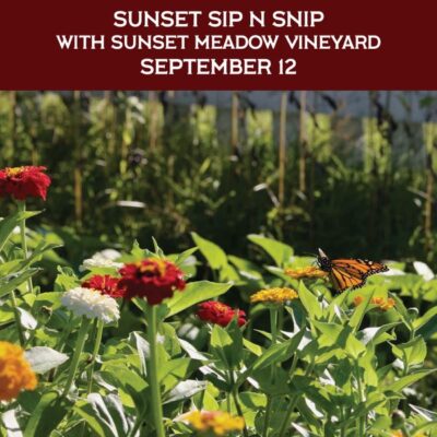 Sunset Sip n Snip