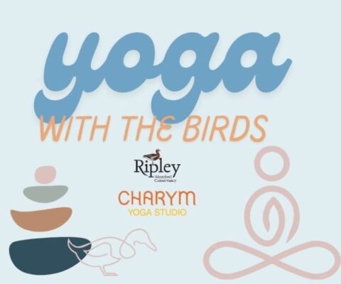 Yoga with the Birds