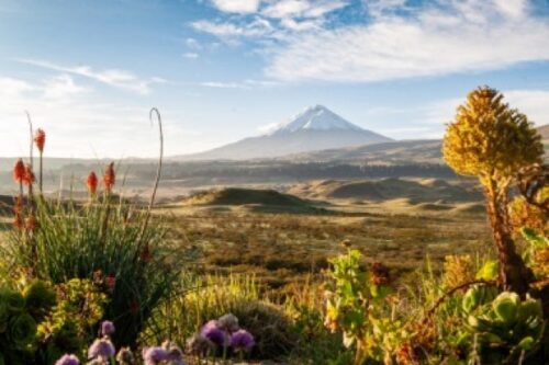 Armchair Travel to Ecuador