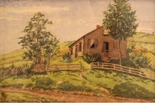 Landscapes of Litchfield