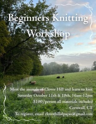 Beginners Knitting Workshop