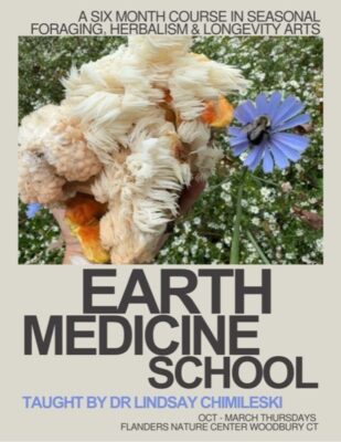 Earth Medicine School