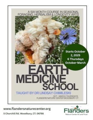 Earth Medicine School