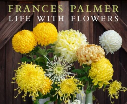 Frances Palmer Presentation