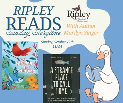 Ripley Reads Sunday Storytime