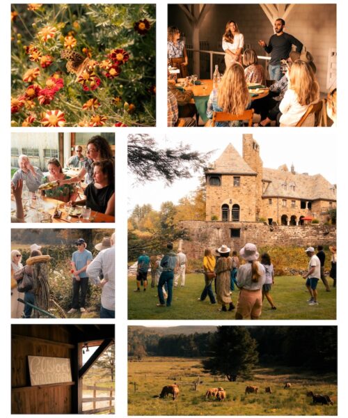 An Afternoon in Cornwall