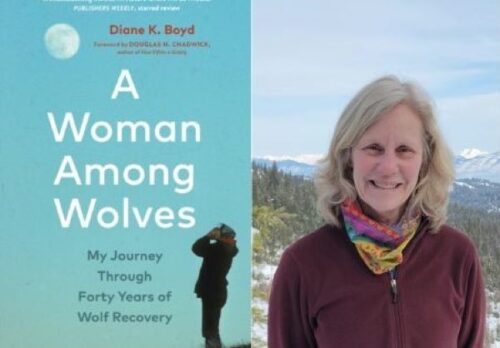 Diane Boyd Book Signing
