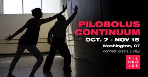 Pilobolus Continuum
