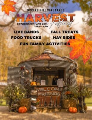 Harvest Festival 2025