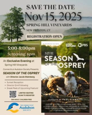 Season of The Osprey Film