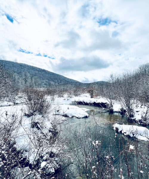 Understanding Conservation Easements in Northwest Connecticut