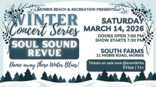 Soul Sound Revue Concert!