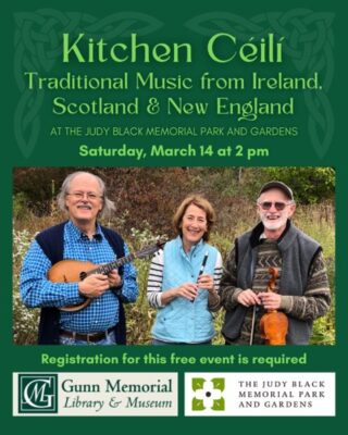 Kitchen Ceili Music