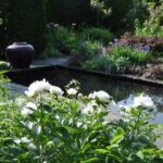 Evening in the Garden