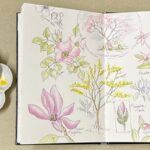 Art Workshop: Garden Journaling