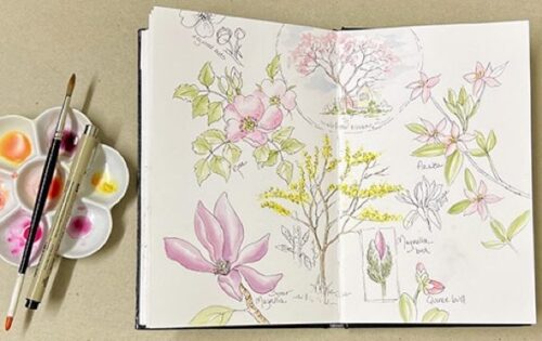 Art Workshop: Garden Journaling