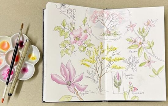 Art Workshop: Garden Journaling