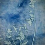 Art Workshop: Printing With Sun