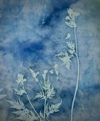 Art Workshop: Printing With Sun