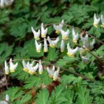 Barn Talk: Signs of Spring