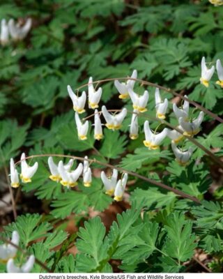 Barn Talk: Signs of Spring