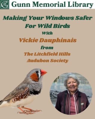 Windows Safer for Wild Birds