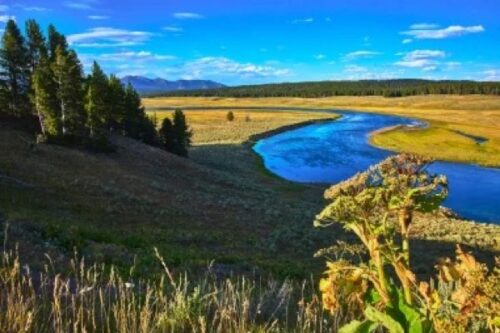 Armchair Travel to Yellowstone
