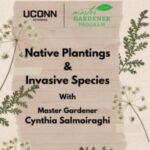 Native Plantings & Invasive Species