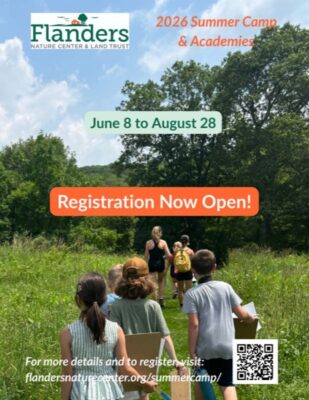 Flanders Summer Camp & Academies
